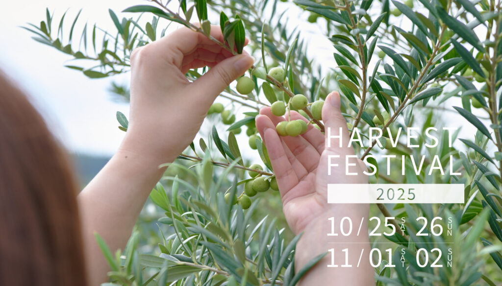 収穫祭2025 HARVEST FESTIVAL | CREA FARM オリーブ園からはじまる、食